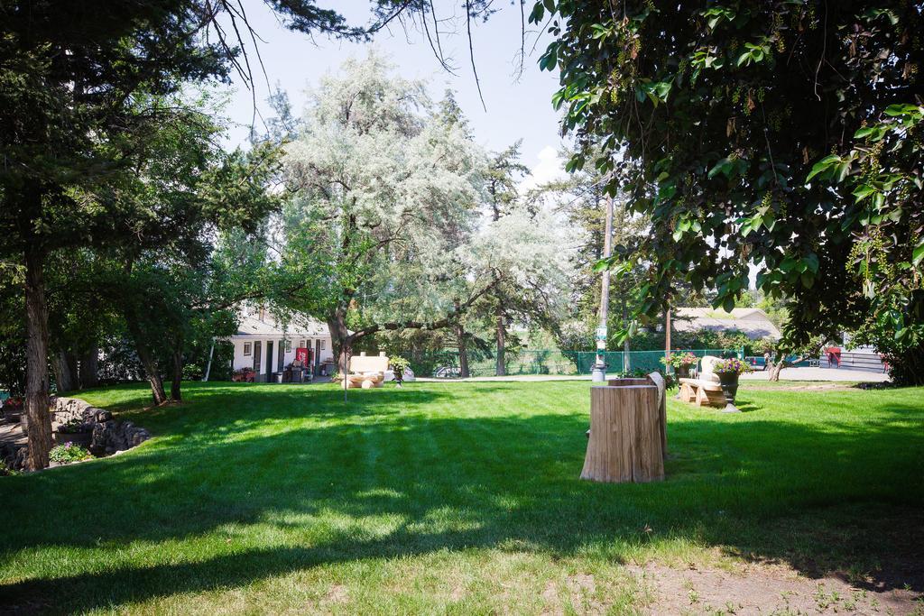 Lakeside Motel Уильямс-Лейк Экстерьер фото